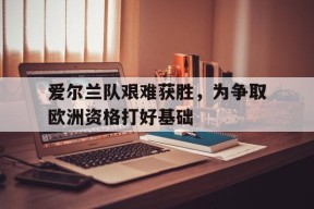 开云体育官网-爱尔兰队艰难获胜，为争取欧洲资格打好基础()